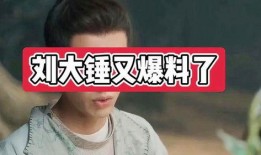 刘大锤最新爆料回归了吗,神秘回归，娱乐圈再掀波澜