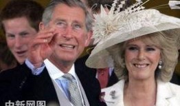 查尔斯最新爆料新闻,揭秘王室惊人内幕